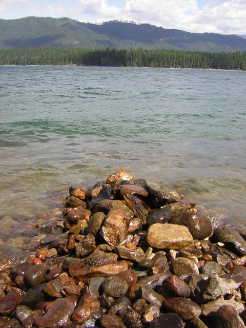 DSCN2700.jpg