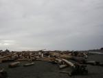 DSCN3245.jpg