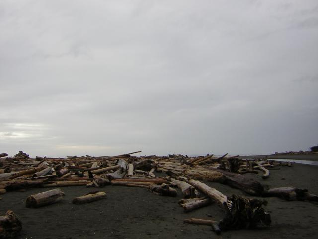 DSCN3245.jpg