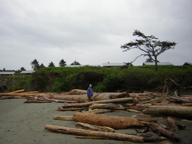 DSCN3246.jpg