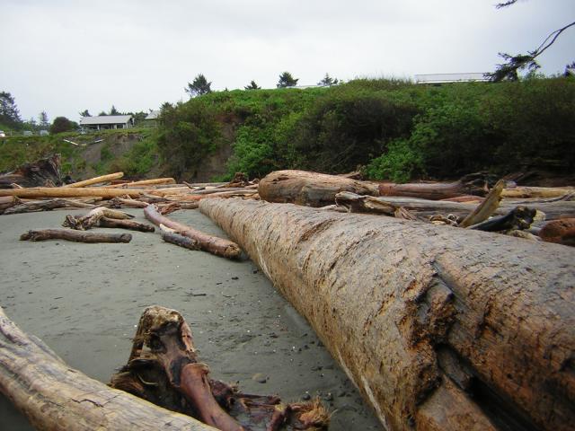 DSCN3247.jpg