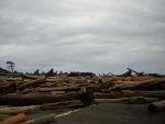 DSCN3248.jpg