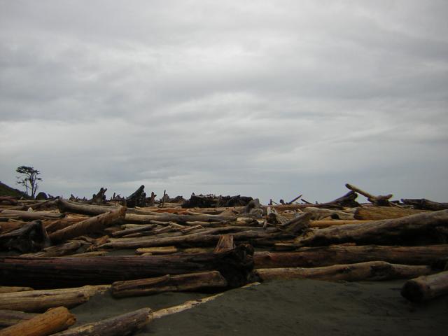 DSCN3248.jpg