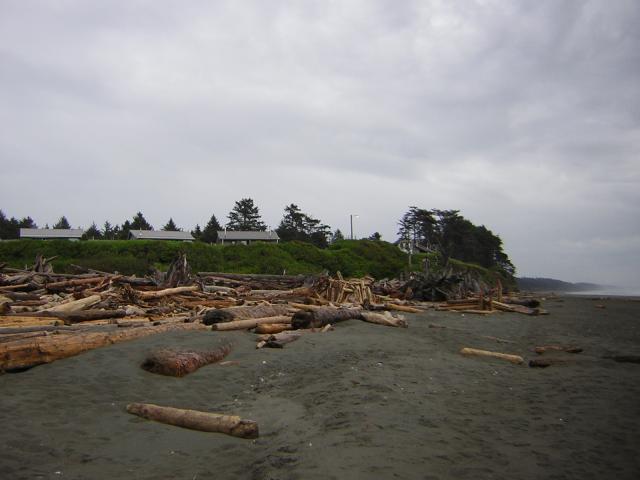 DSCN3249.jpg