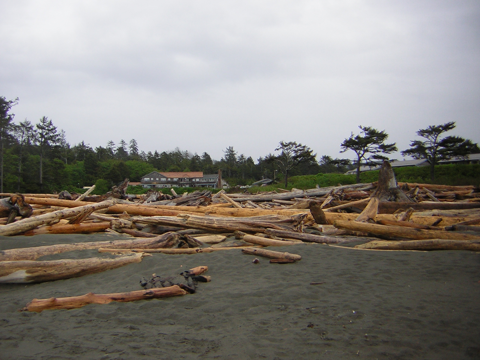 DSCN3250.jpg