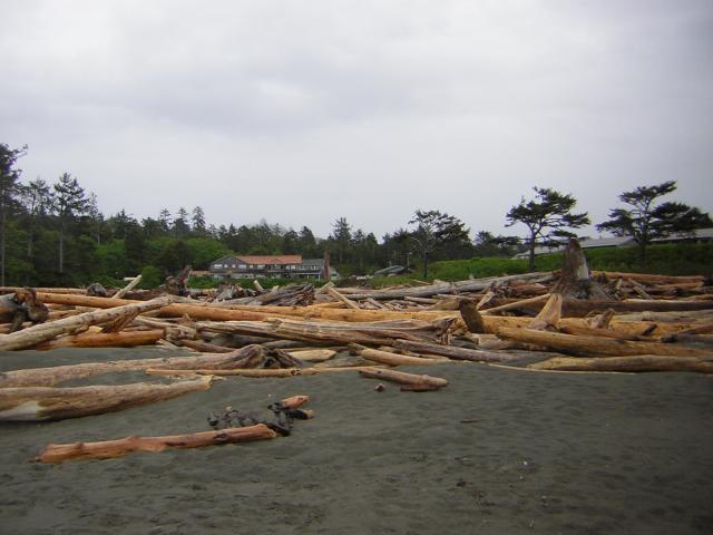 DSCN3250.jpg