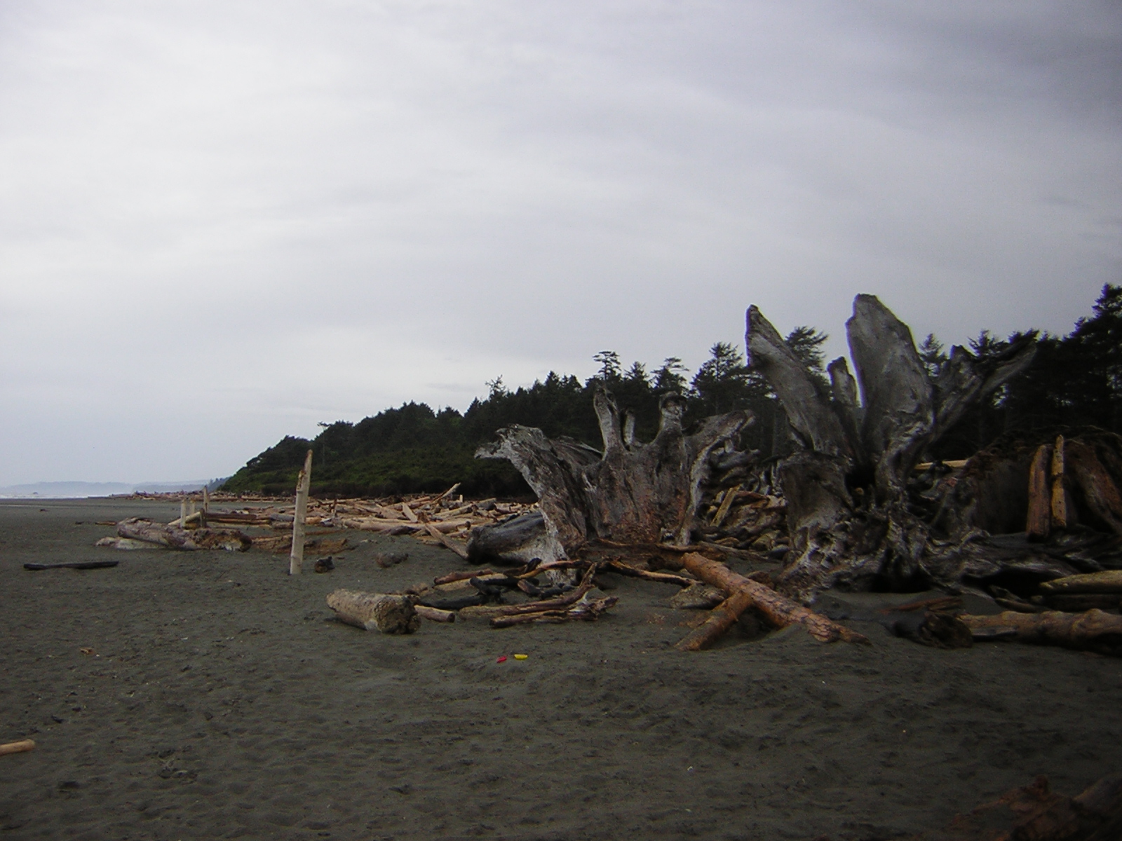 DSCN3252.jpg