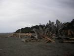 DSCN3252.jpg