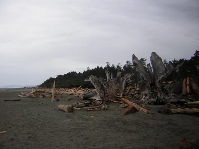DSCN3252.jpg