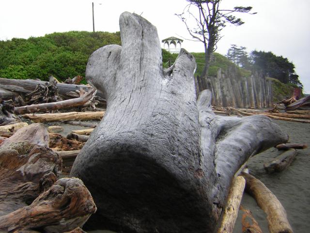 DSCN3255.jpg