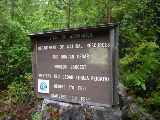 DSCN3257.jpg