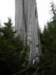 DSCN3258.jpg