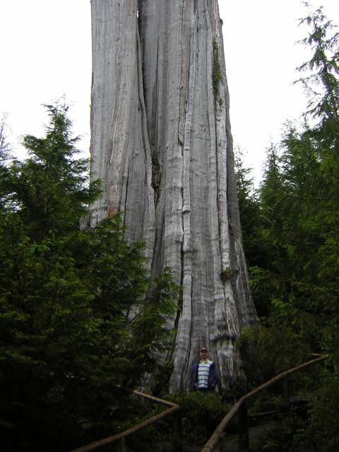DSCN3258.jpg