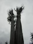 DSCN3259.jpg