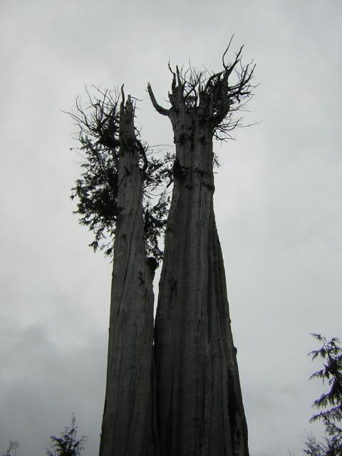 DSCN3259.jpg