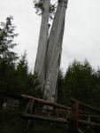 DSCN3264.jpg
