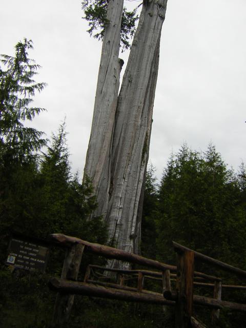 DSCN3264.jpg