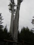 DSCN3265.jpg