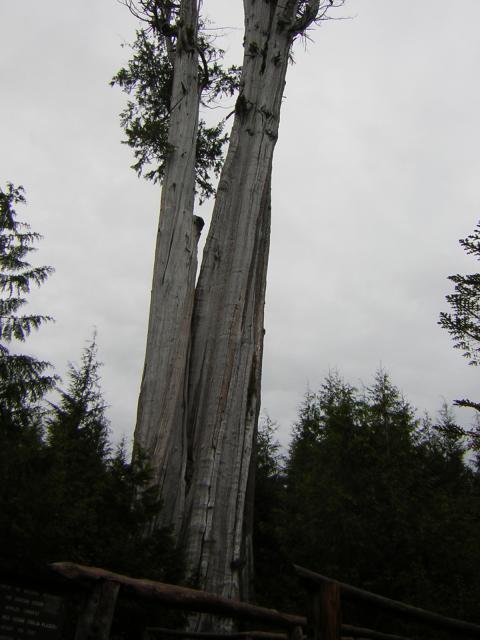 DSCN3265.jpg