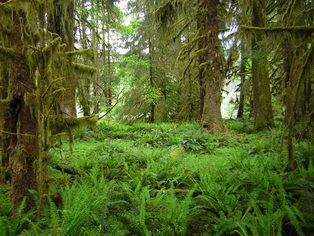 DSCN3267.jpg