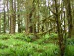 DSCN3269.jpg