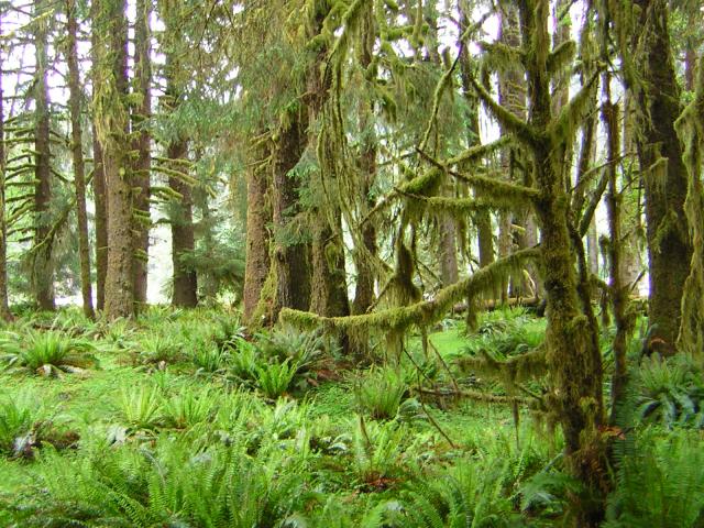 DSCN3269.jpg