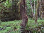 DSCN3270.jpg