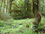 DSCN3271.jpg