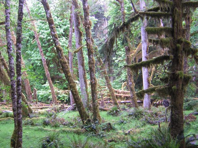 DSCN3272.jpg