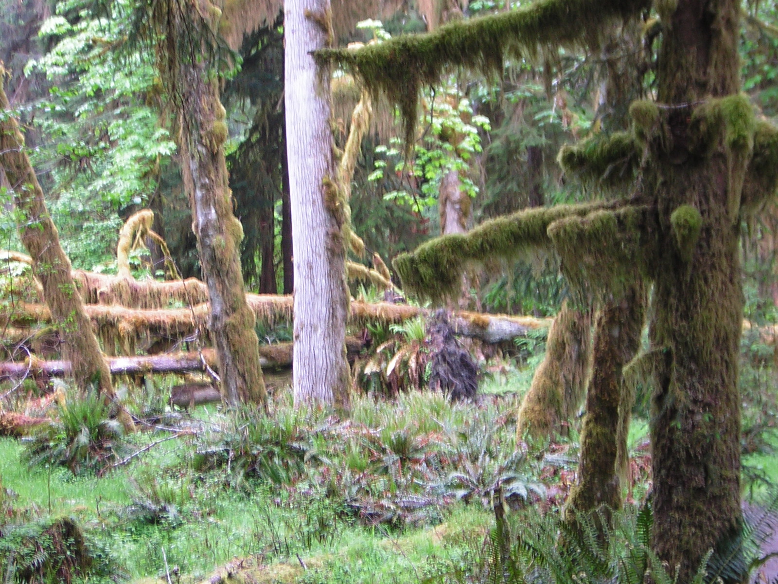 DSCN3273.jpg