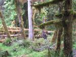 DSCN3273.jpg