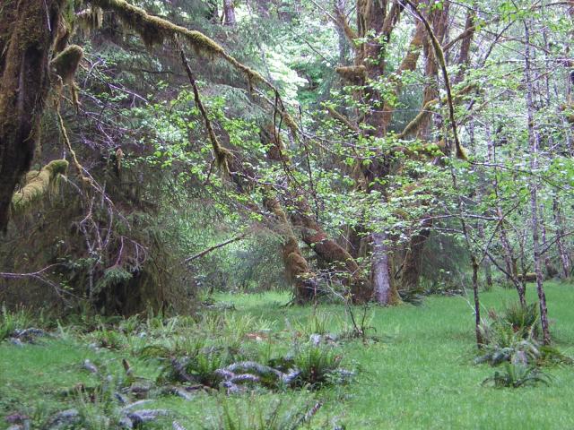 DSCN3274.jpg