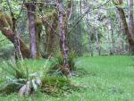 DSCN3275.jpg