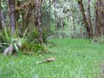 DSCN3276.jpg