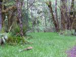 DSCN3277.jpg
