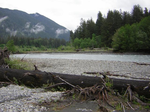DSCN3281.jpg
