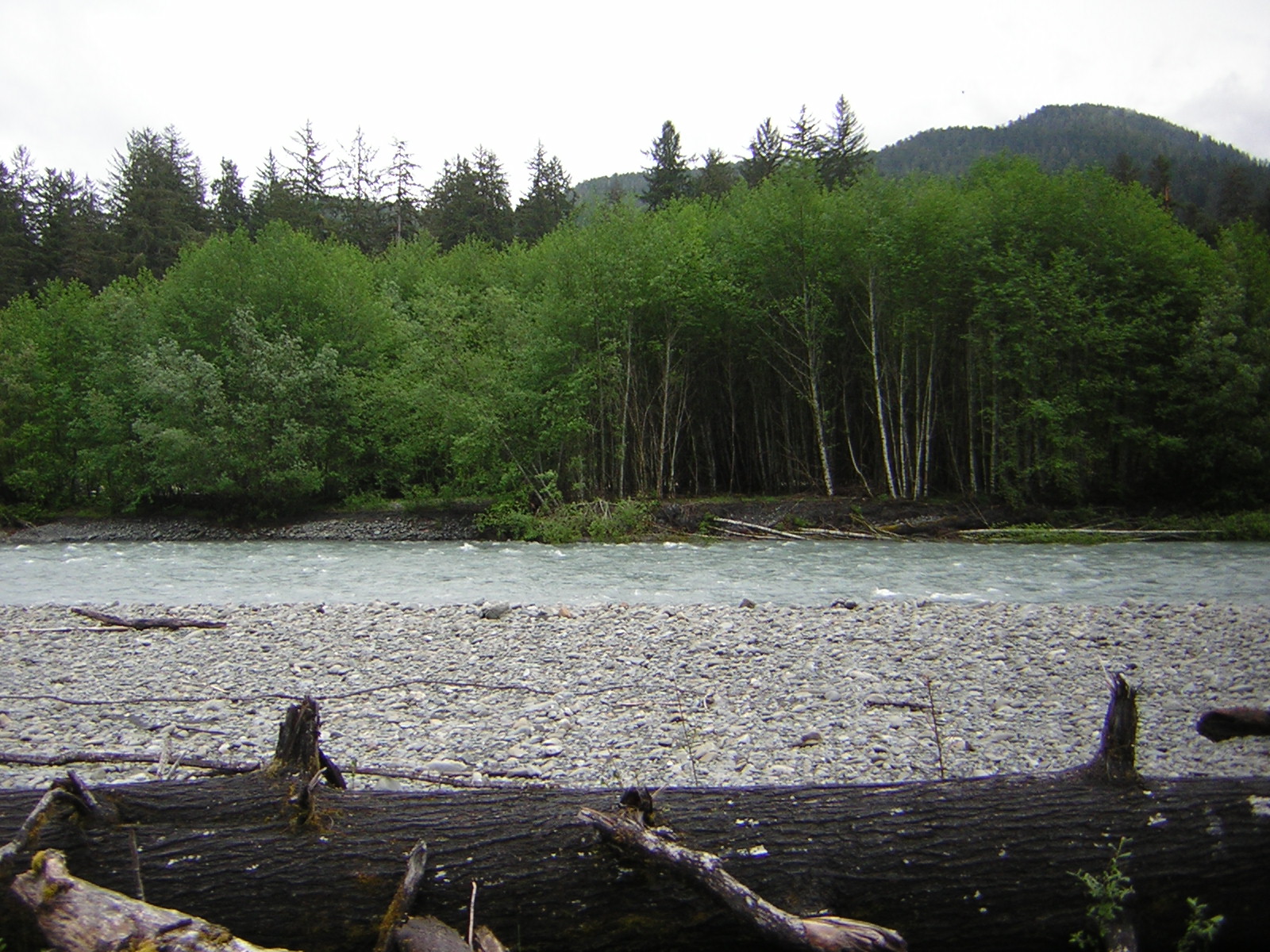 DSCN3283.jpg