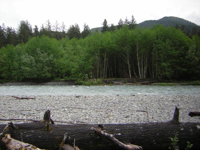 DSCN3283.jpg