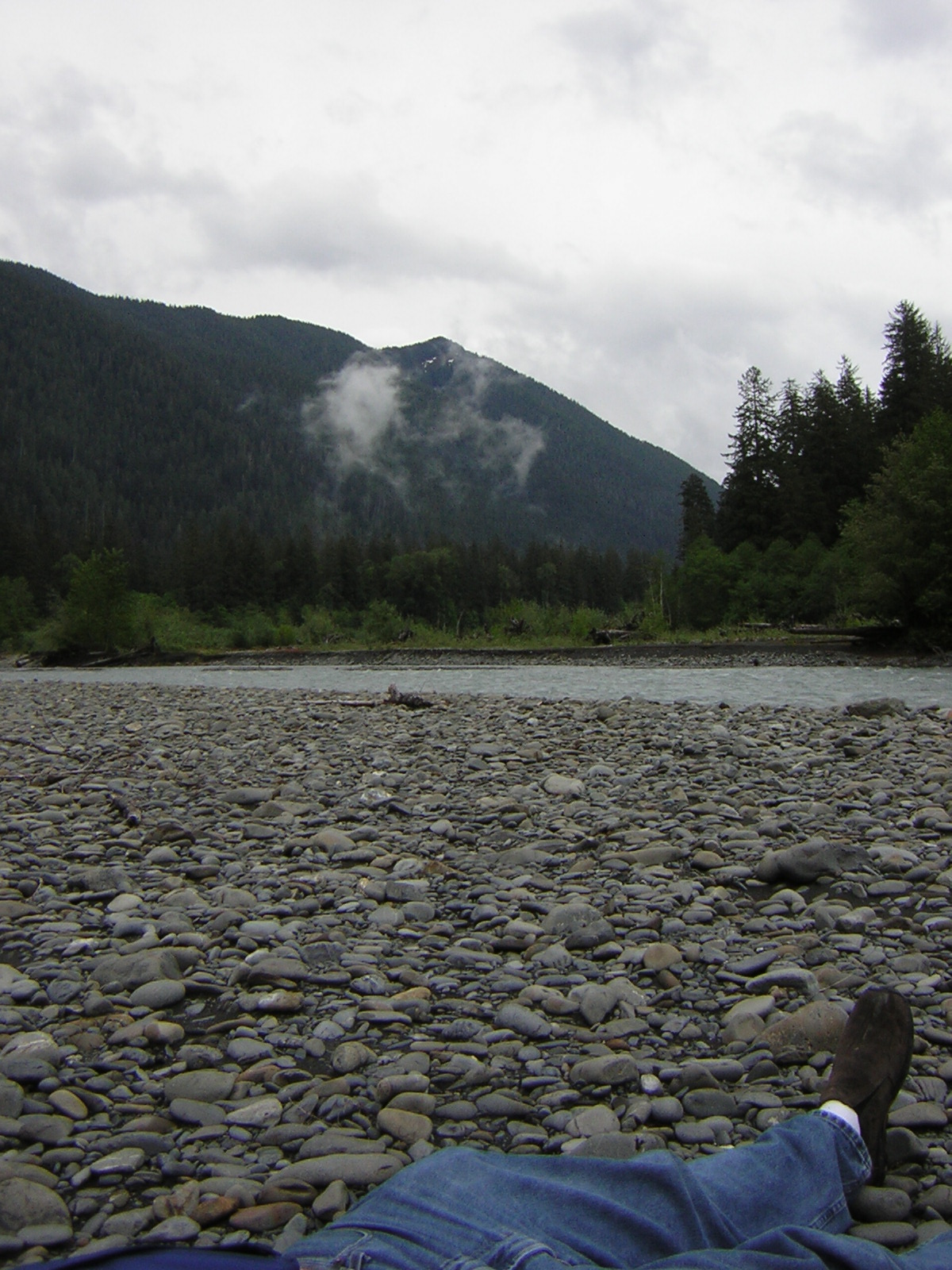 DSCN3286.jpg