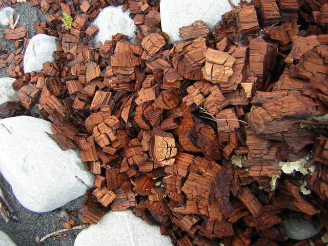 DSCN3288.jpg