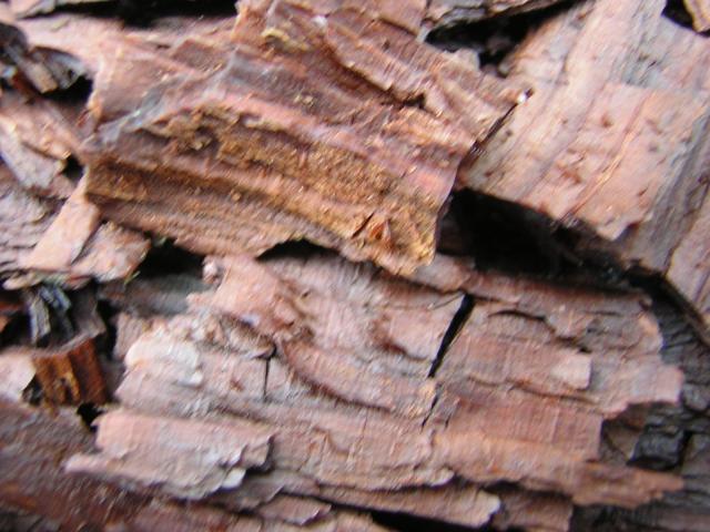 DSCN3289.jpg
