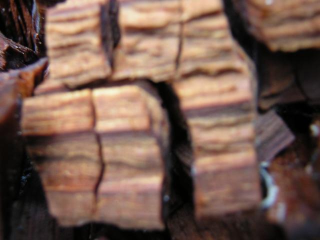 DSCN3293.jpg