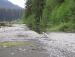 DSCN3297.jpg
