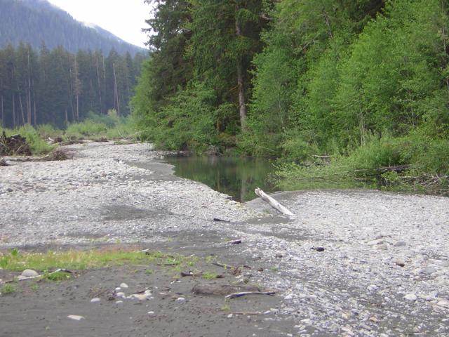 DSCN3297.jpg
