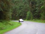 DSCN3298.jpg