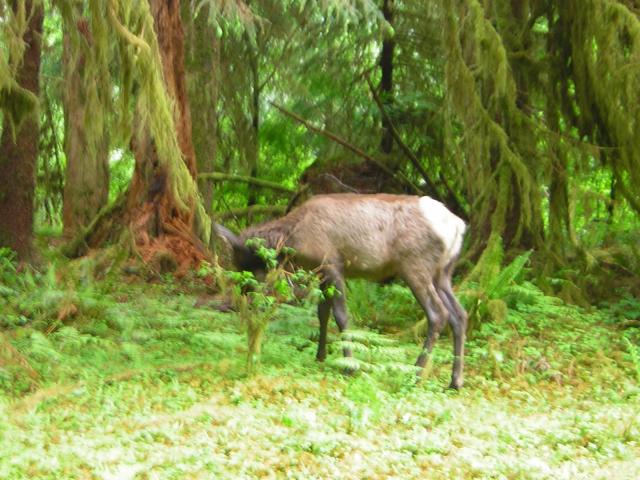 DSCN3299.jpg