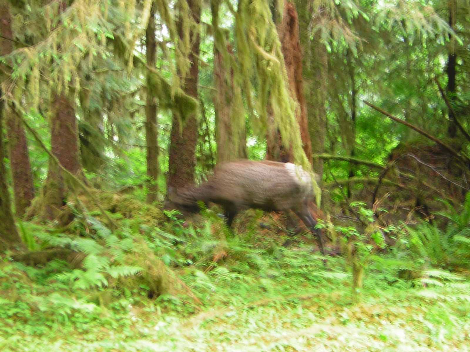 DSCN3300.jpg
