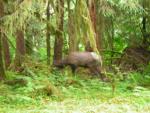 DSCN3300.jpg