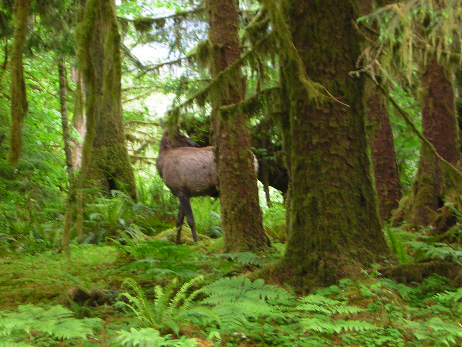 DSCN3301.jpg
