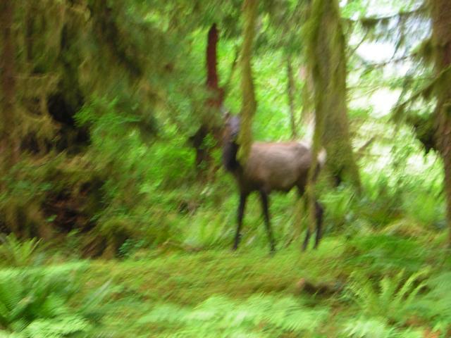 DSCN3302.jpg